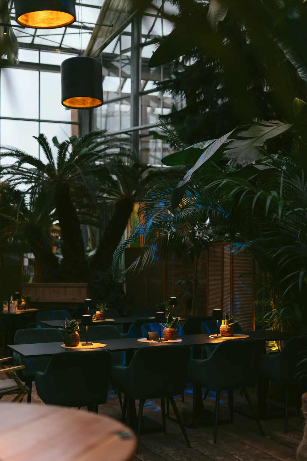 Eden01 Plants - Urban Jungle